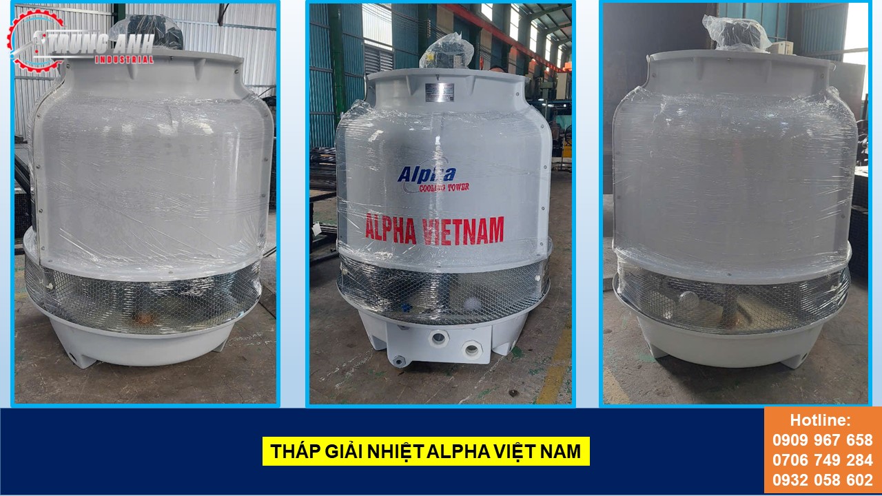 THAP GIAI NIHET ALPHA