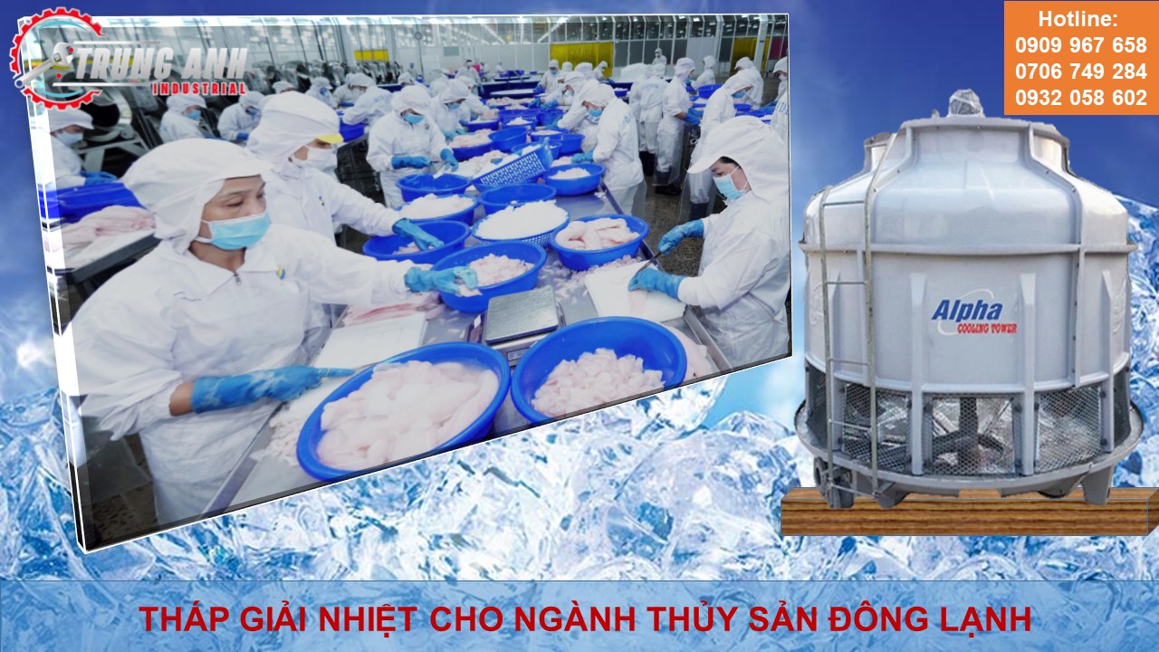 thap giai nhiet thuy san dong lanh