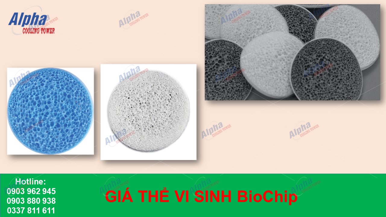 gia the vi sinh biochip