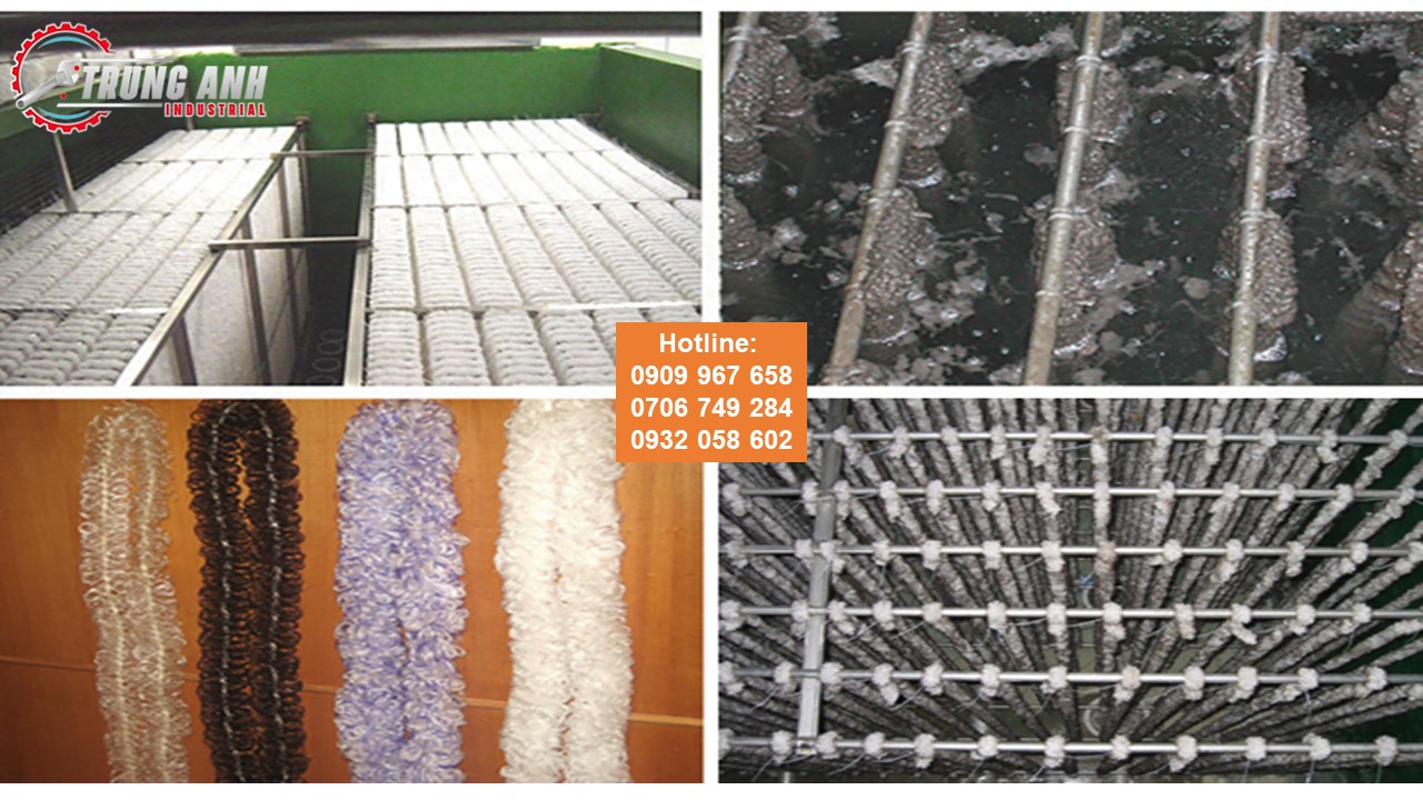 gia-the-vi-sinh-dang-soi-2