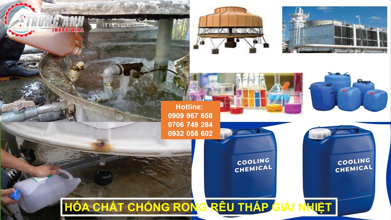 hoa chat thap giai nhiet