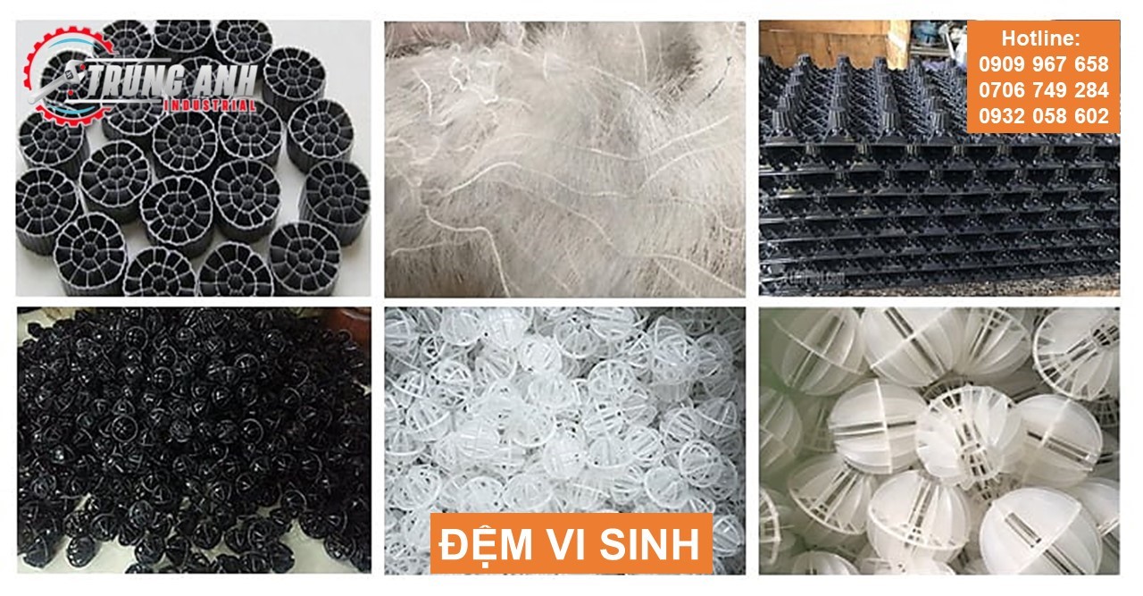 đệm vi sinh -1