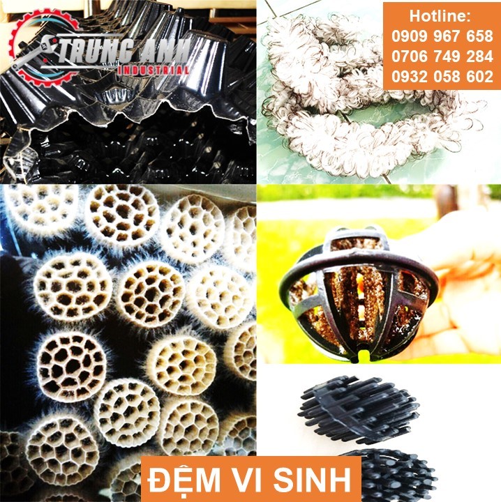đệm vi sinh