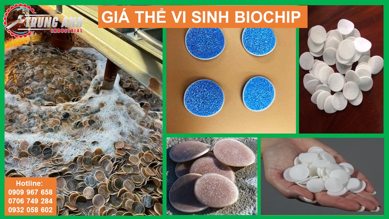 giá thể vi sinh biochip -1
