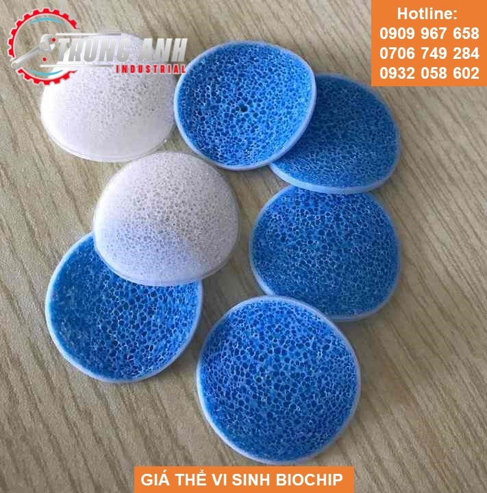 giá thể vi sinh biochip