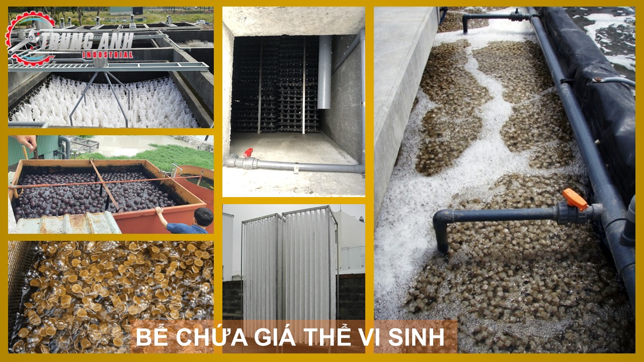 bể chứa giá thể vi sinh