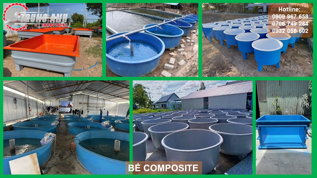 bể composite