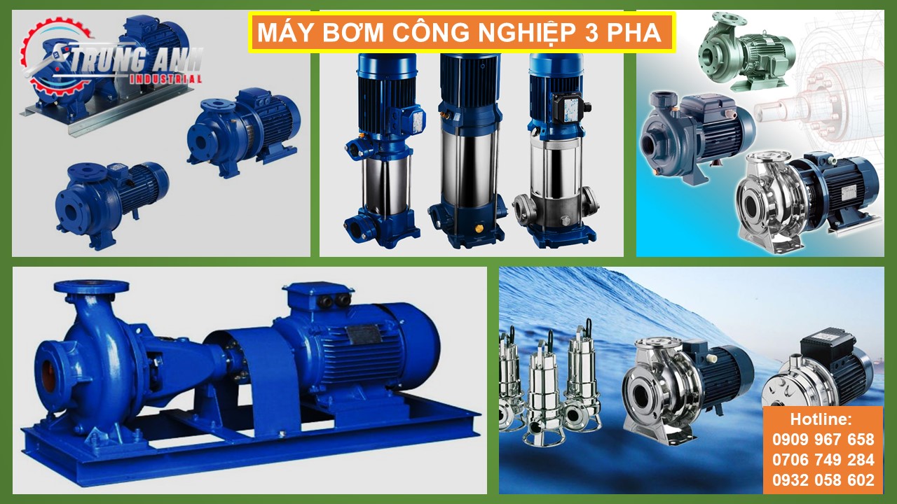 bơm công nghiệp 3 pha -2