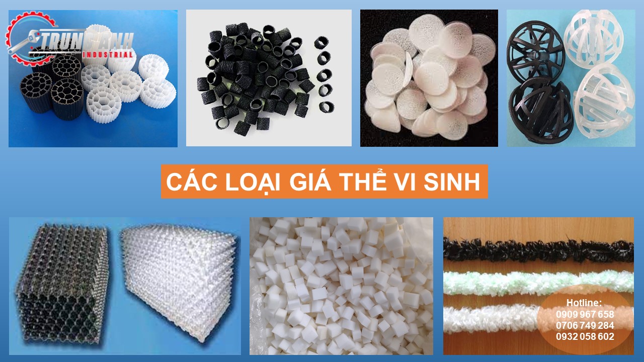 giá thể vi sinh