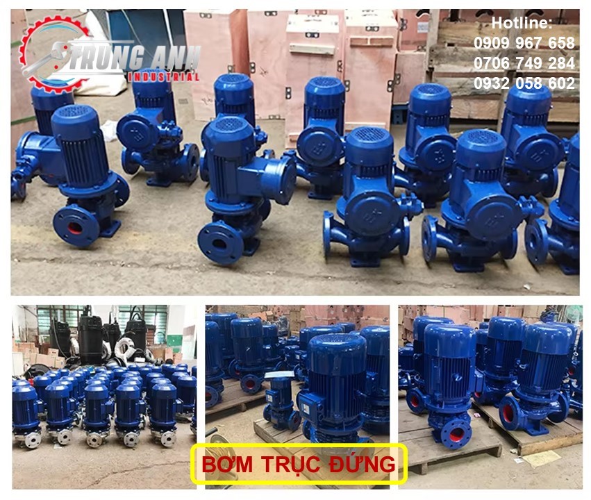 bơm trục đứng -1