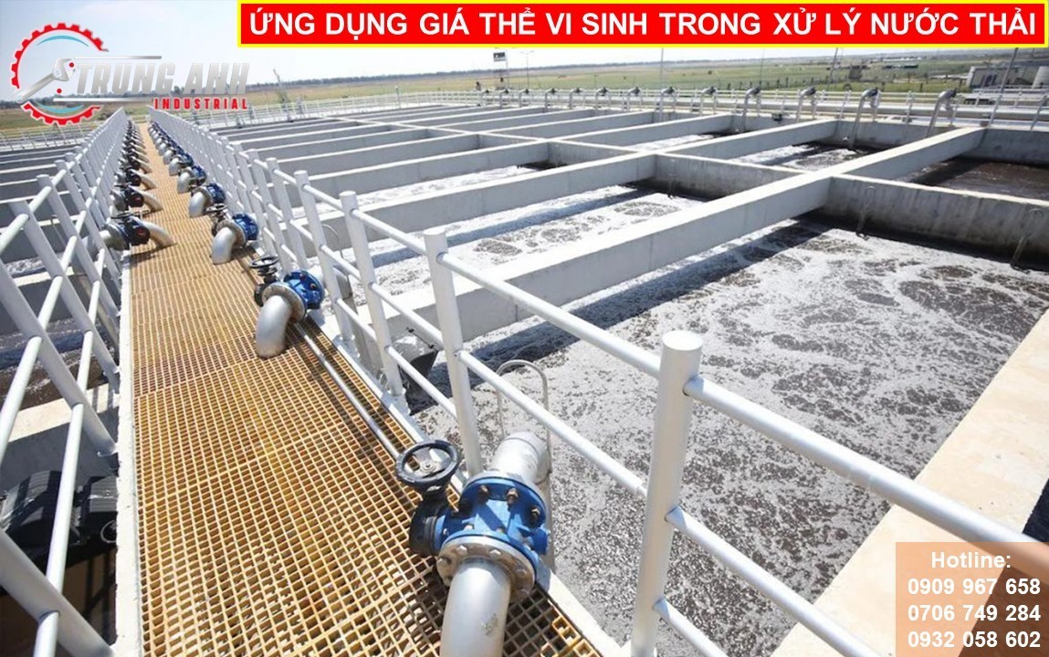 ứng dụng giá thể vi sinh