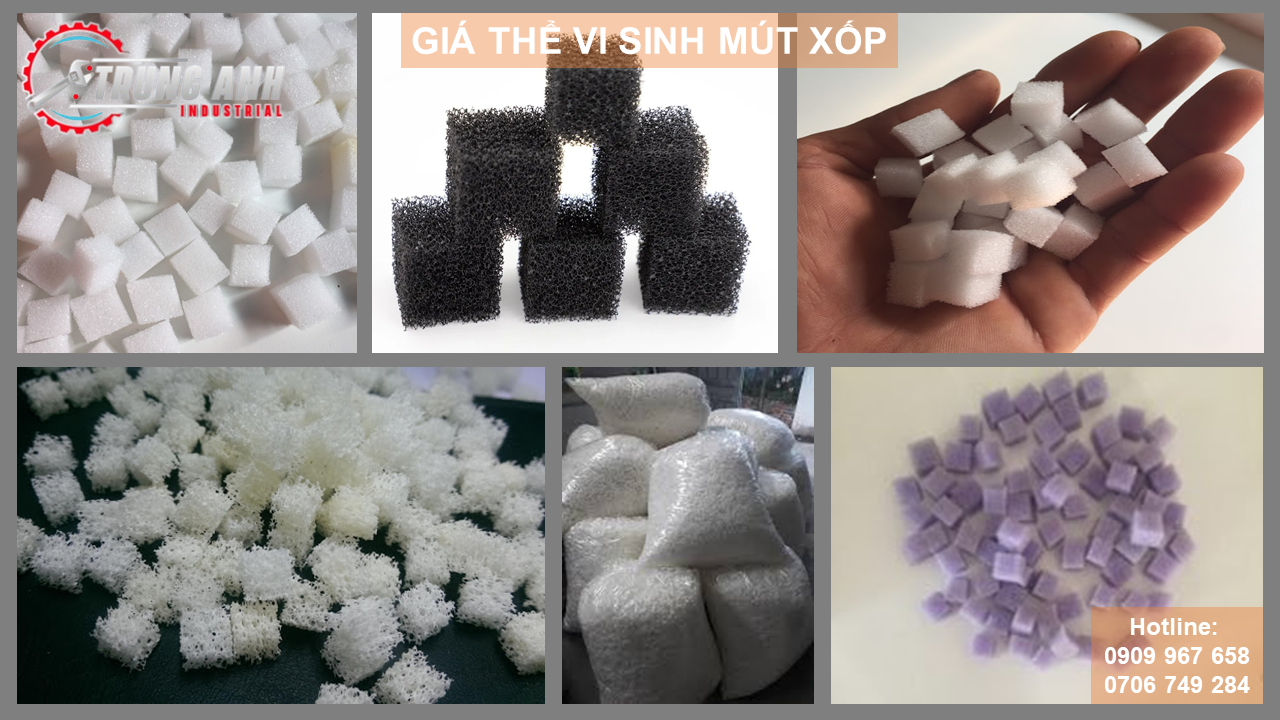 giá thể vi sinh mút xốp