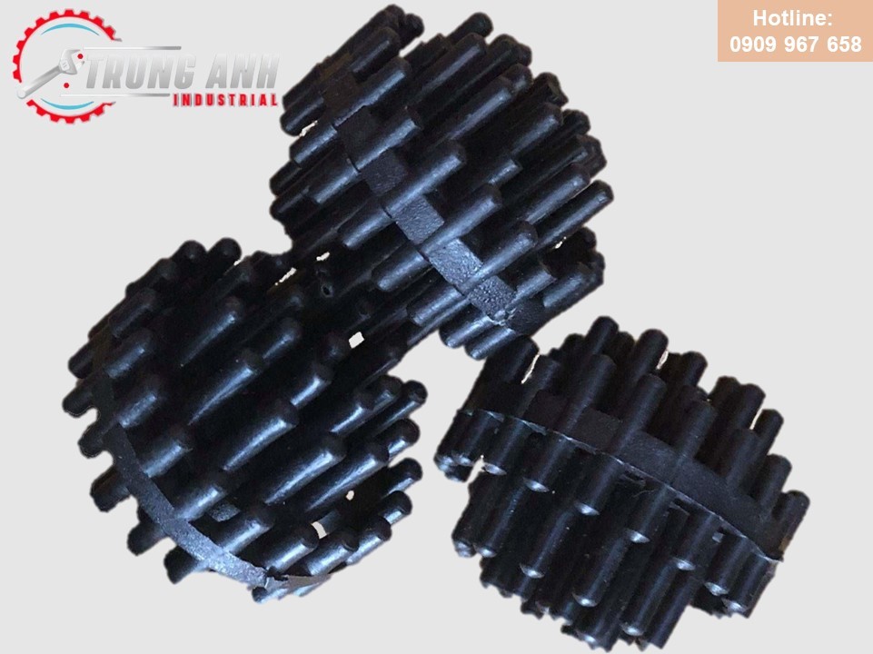 giá thể dạng cầu gai -trung anh -1