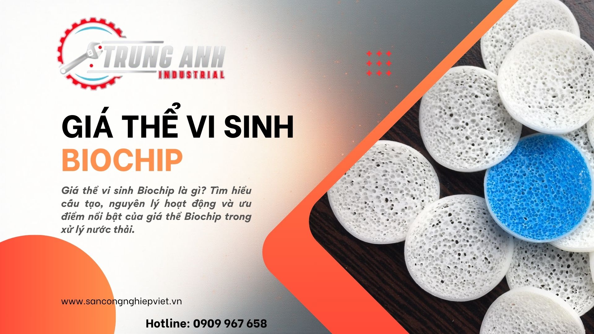giá thể vi sinh biochip là gì