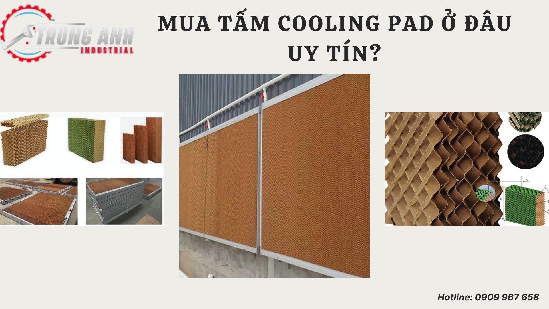 cooling pad -trung anh