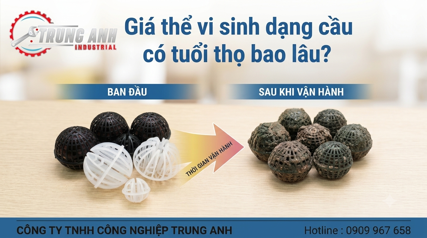 giá thể vi sinh dạng cầu sử dụng bao lâu